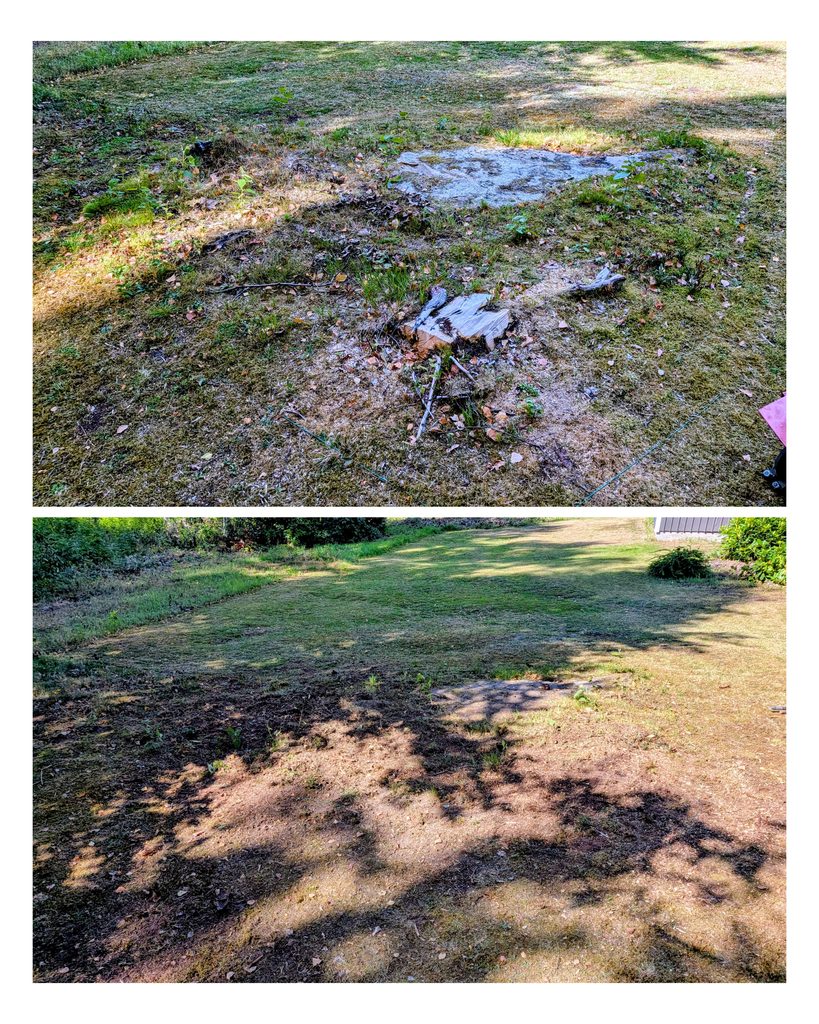 Stubbfräsning före och efter varberg